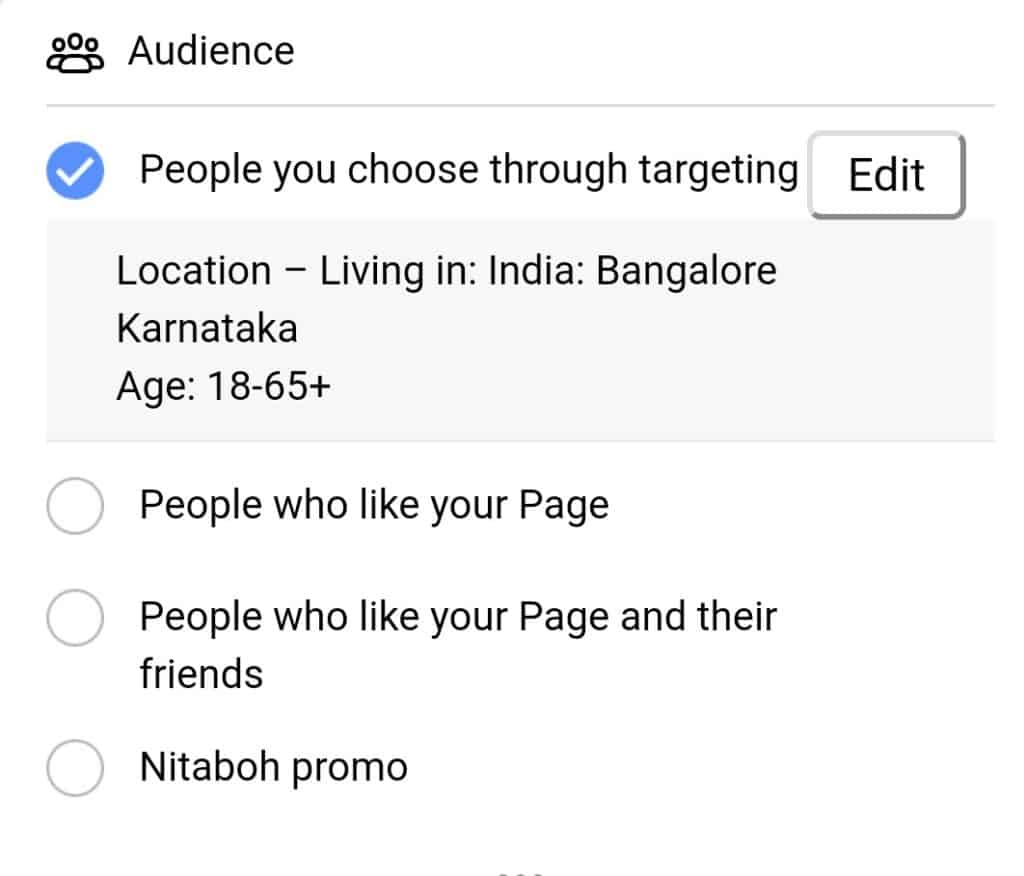 Facebook advertising audience demography sangita ekka digital marketing I will die an artist